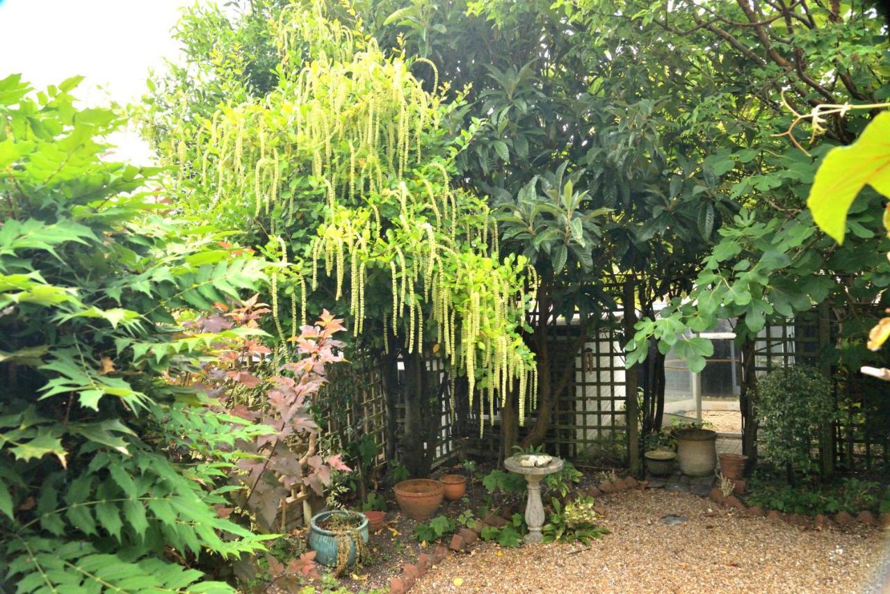 Vila Cosy House, A Train Spotter'S Delight! New Alresford Exteriér fotografie